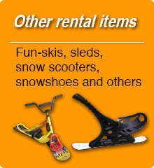 Other rental items